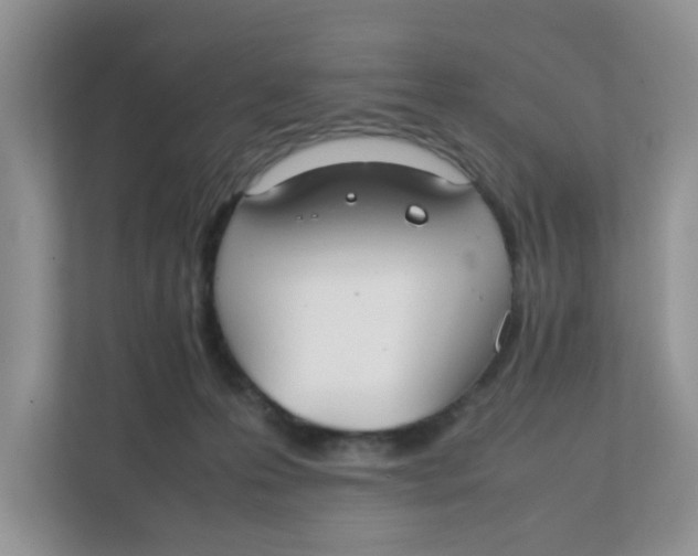 X0000111860223200908131505