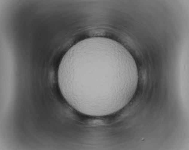 X0000111860224200908131505