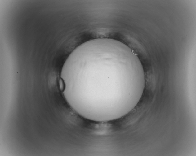 X0000111860225200908131505