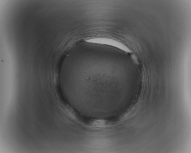 X0000111860227200908131505