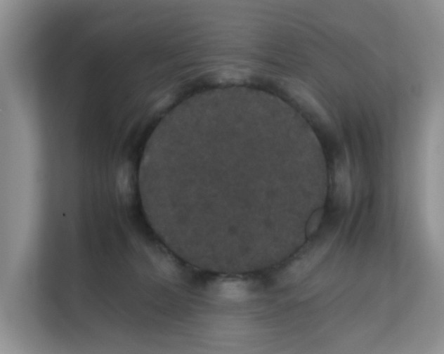 X0000111860228200908131505