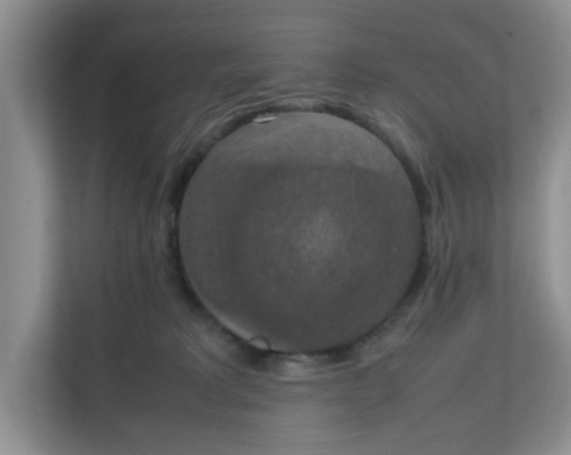 X0000111860229200908131505