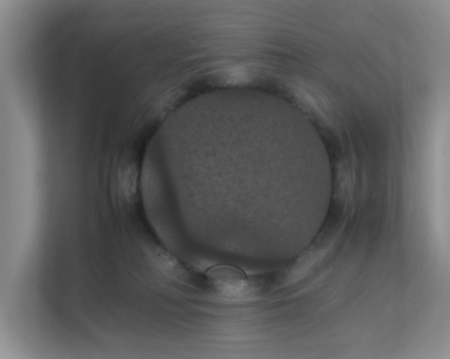 X0000111860230200908131505