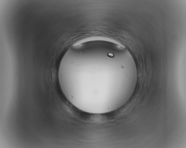 X0000111860231200908131505