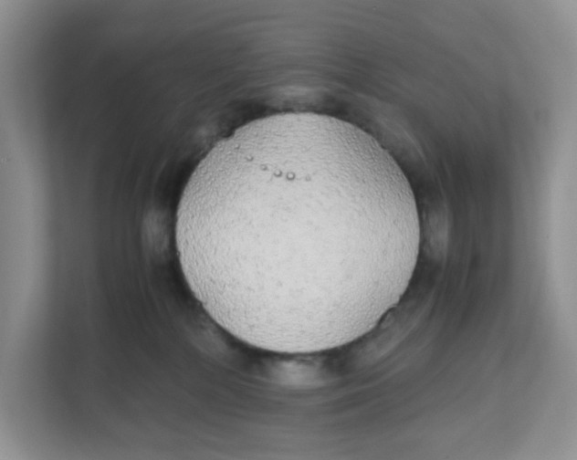 X0000111860232200908131505