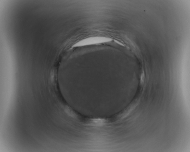 X0000111860233200908131505