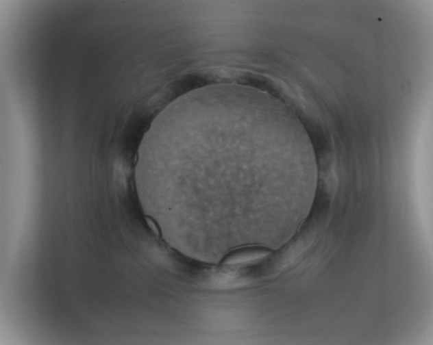 X0000111860235200908131505