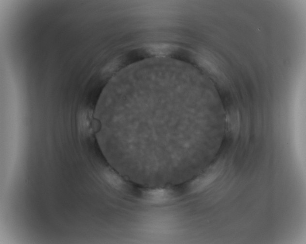 X0000111860237200908131505