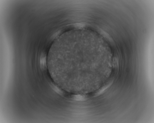 X0000111860238200908131505