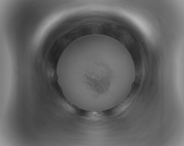 X0000111860239200908131505