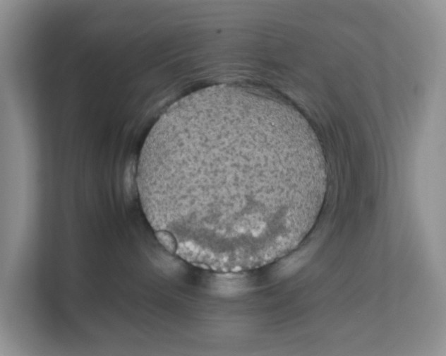 X0000111860240200908131505