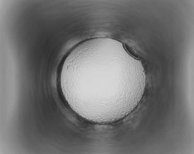 X0000111860242200908131505