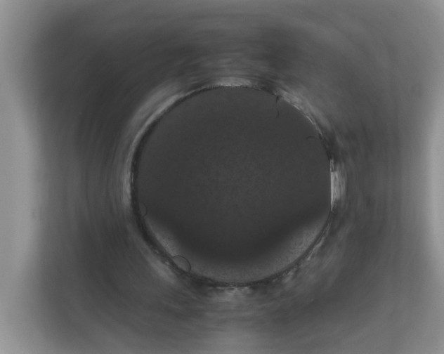 X0000111860243200908131505