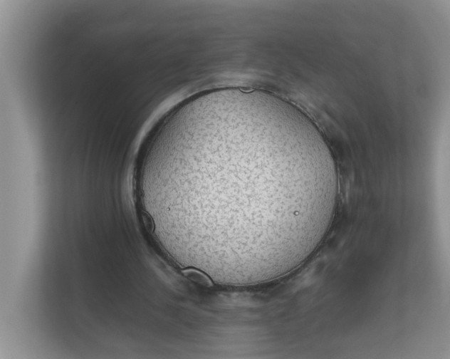 X0000111860244200908131505