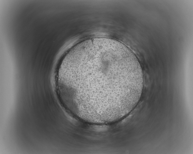 X0000111860245200908131505