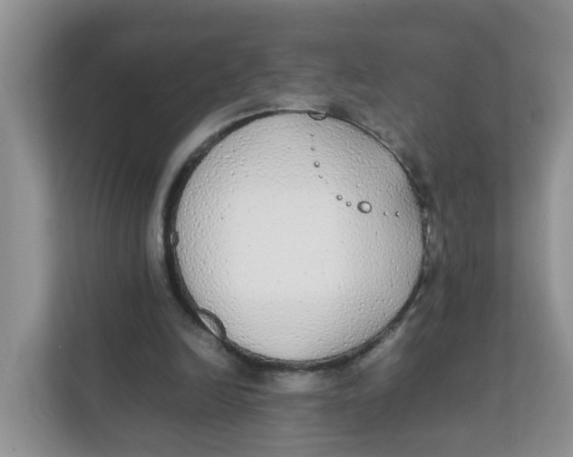 X0000111860246200908131505