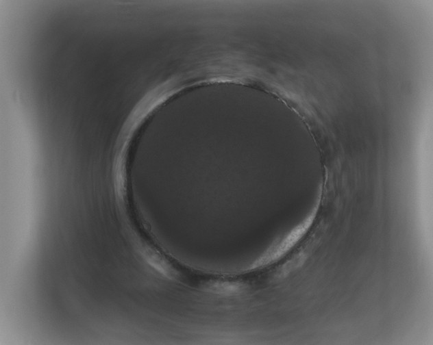 X0000111860247200908131505