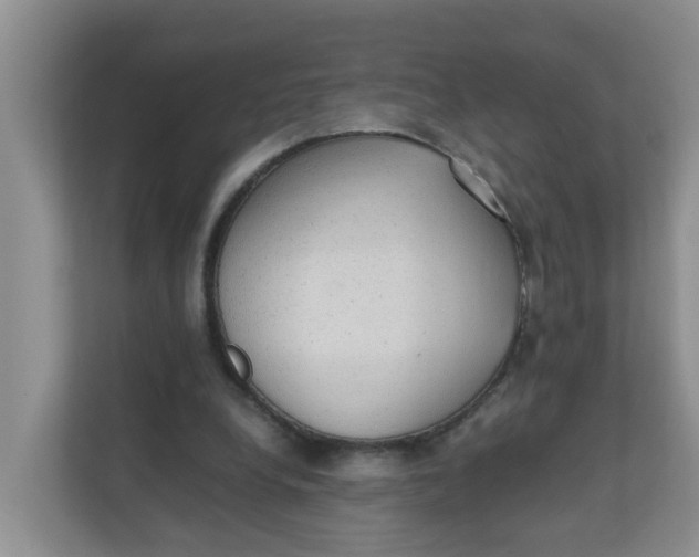 X0000111860248200908131505