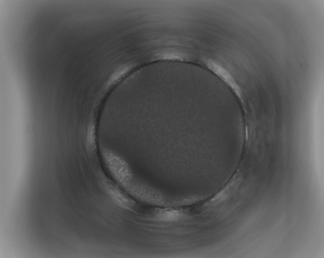 X0000111860249200908131505