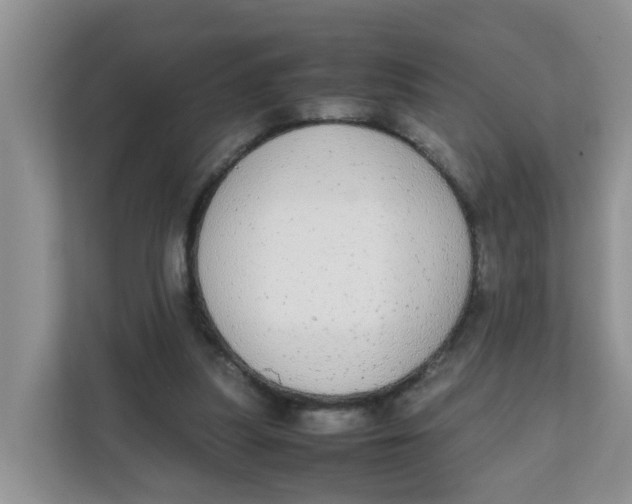 X0000111860251200908131505