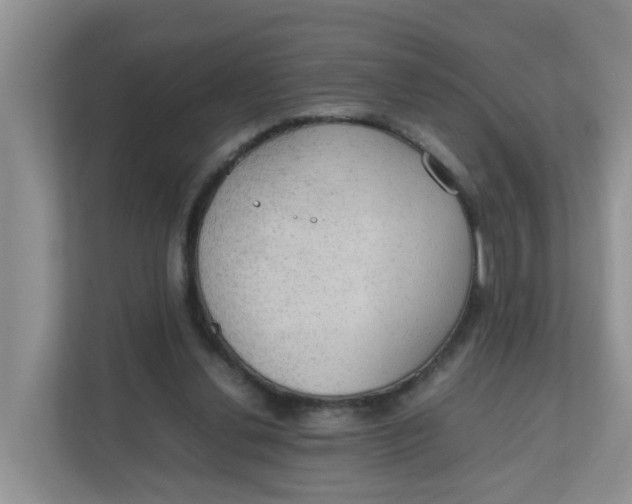 X0000111860252200908131505