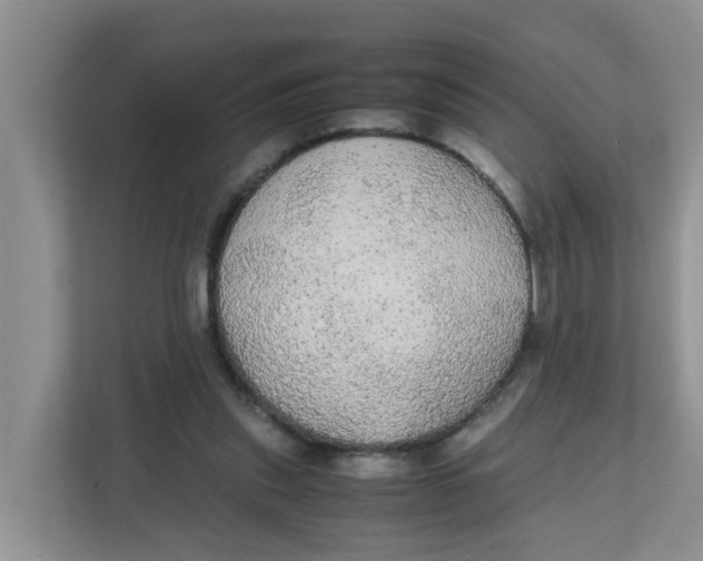 X0000111860253200908131505