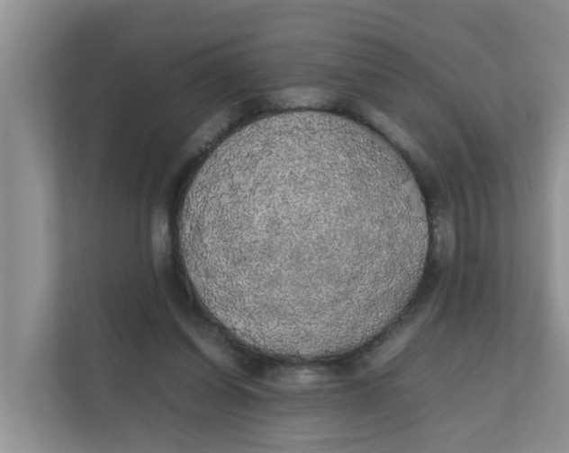 X0000111860254200908131505