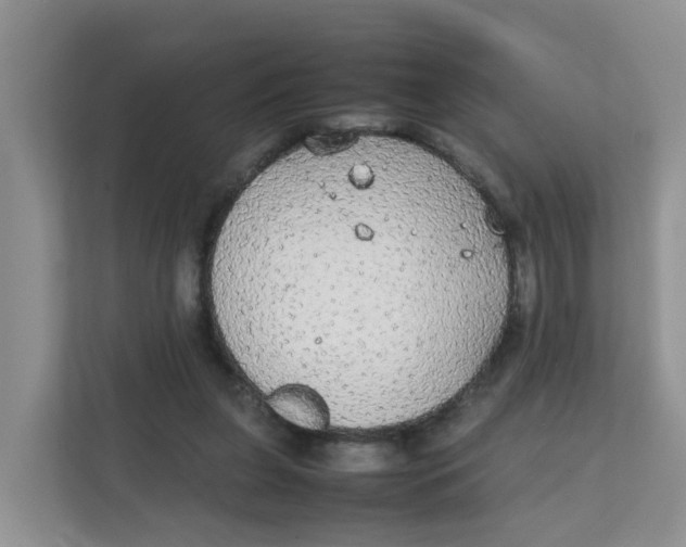 X0000111860255200908131505