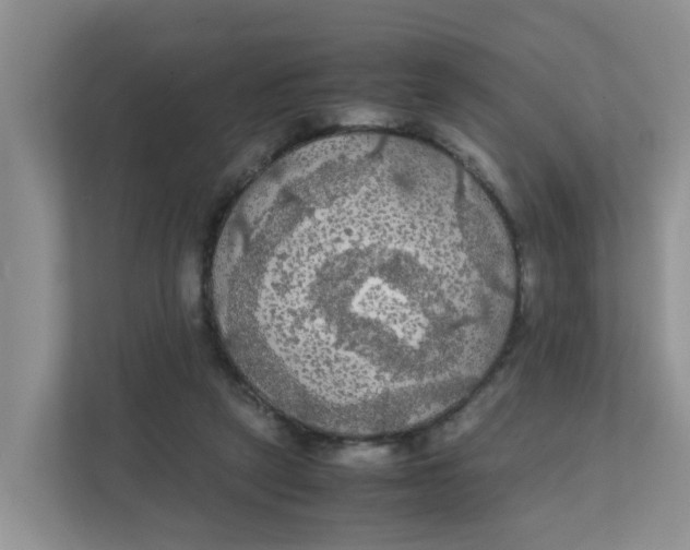 X0000111860257200908131505