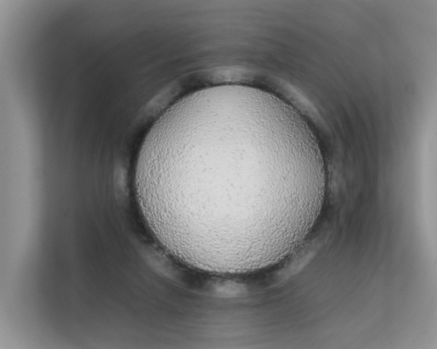 X0000111860258200908131505