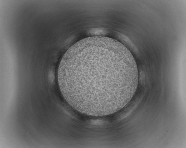 X0000111860259200908131505