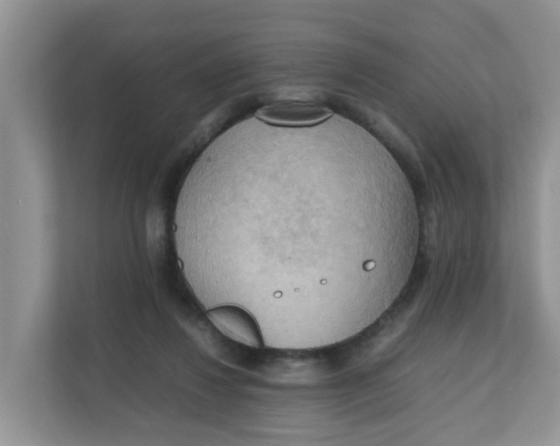 X0000111860260200908131505