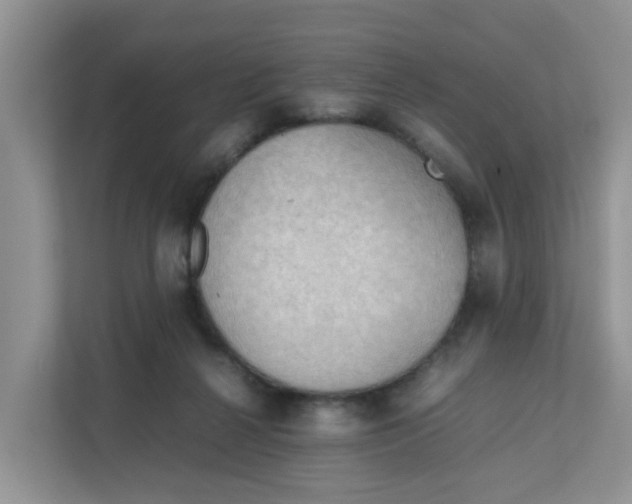 X0000111860264200908131505