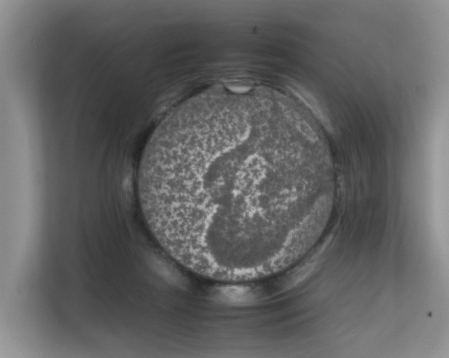 X0000111860265200908131505