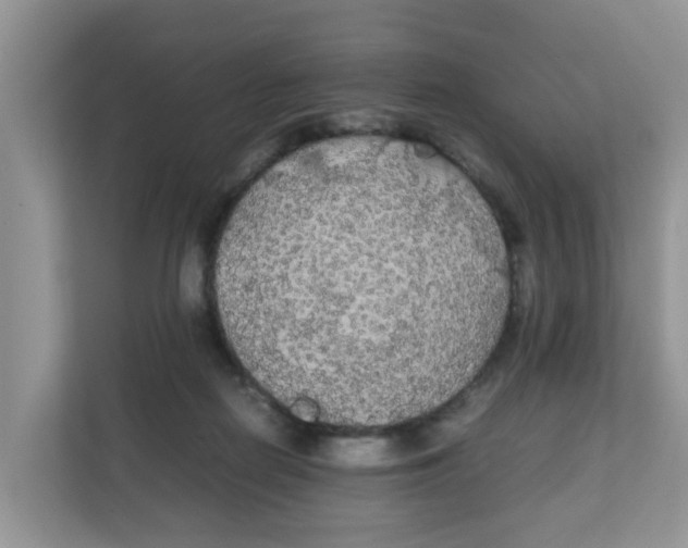 X0000111860266200908131505