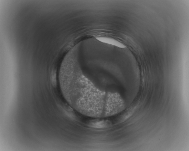X0000111860267200908131505