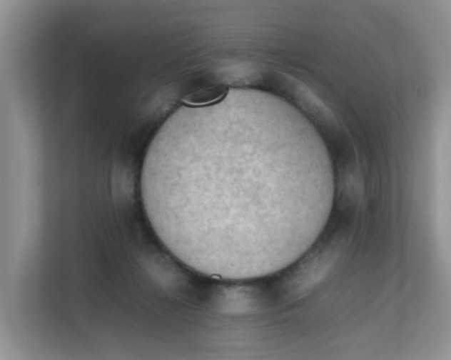 X0000111860268200908131505