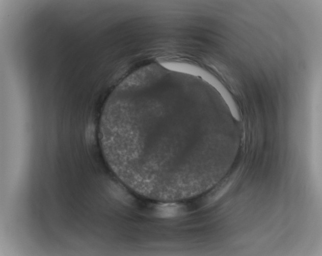 X0000111860269200908131505