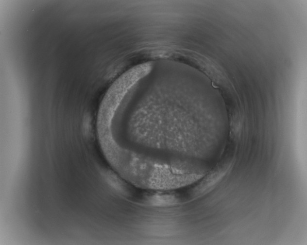 X0000111860270200908131505