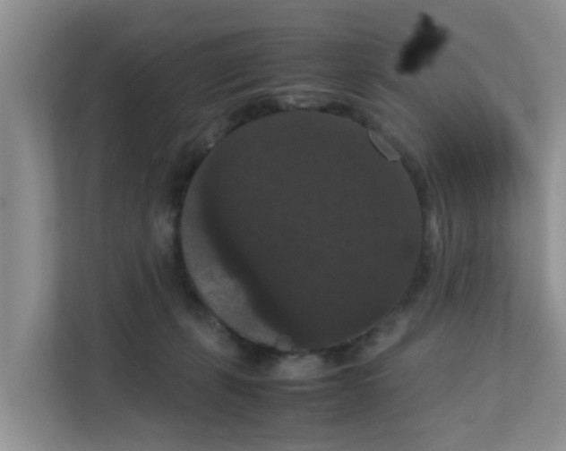 X0000111860271200908131505