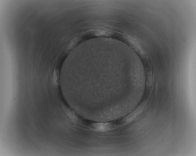 X0000111860273200908131505