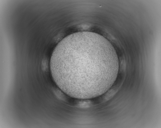 X0000111860274200908131505