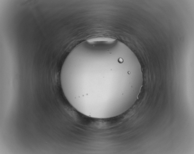 X0000111860276200908131505