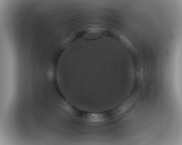 X0000111860277200908131505