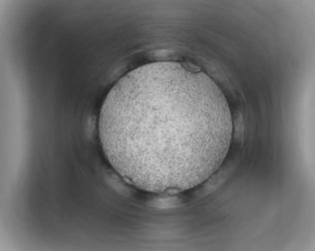 X0000111860278200908131505