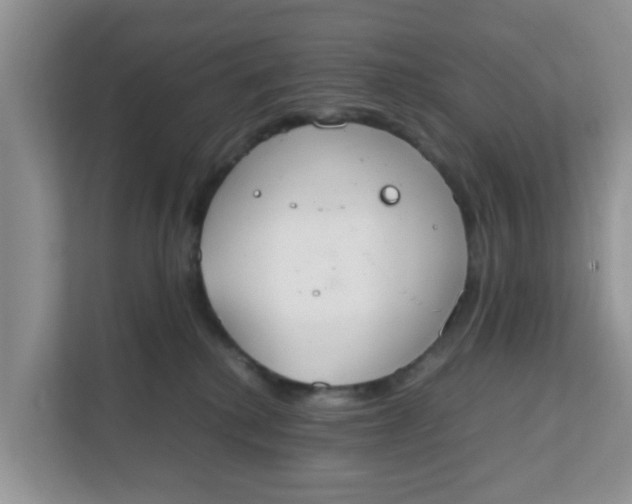 X0000111860280200908131505