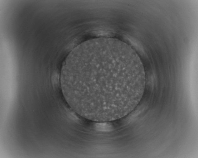 X0000111860281200908131505