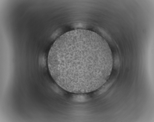 X0000111860282200908131505