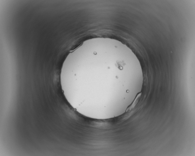 X0000111860284200908131505