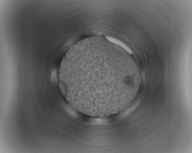 X0000111860286200908131505